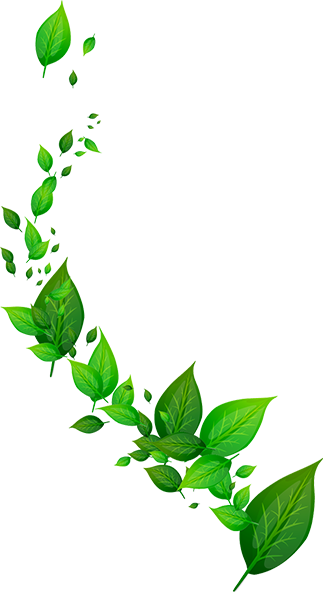 Agriculture Shape Design